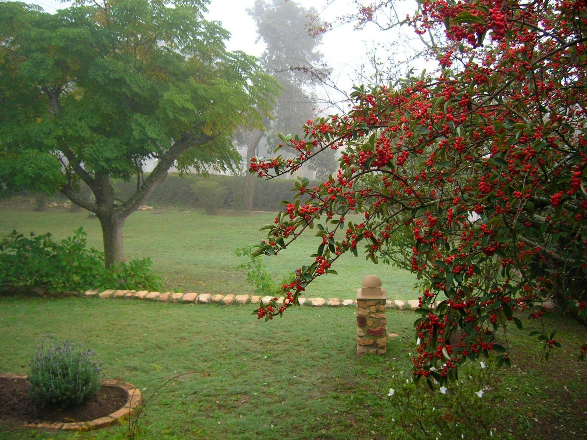 Dempsey'S Self-Catering Guest House Port Elizabeth Exterior photo